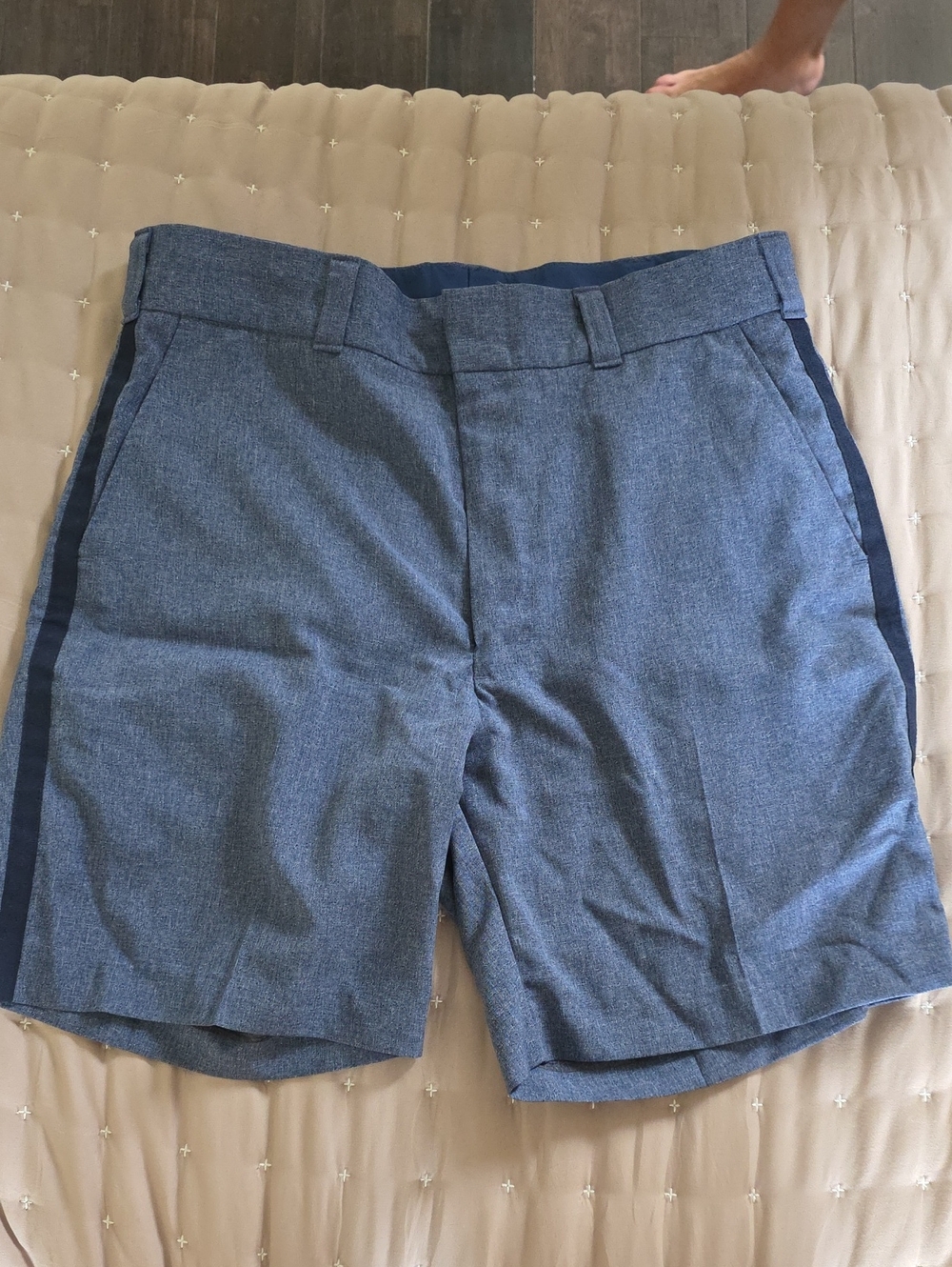 Men's Blue USPS LETTER CARRIER  Shorts